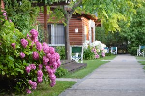 Foto de Cabañas La Juanita